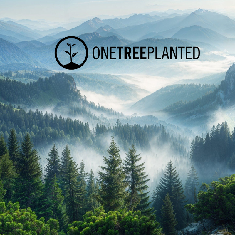 Floralia Living x One Tree Planted: Planting a Tree for Every Order
