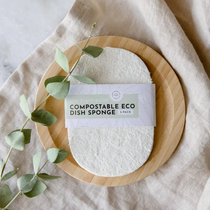 Compostable Eco Dish Sponge 3-Pack