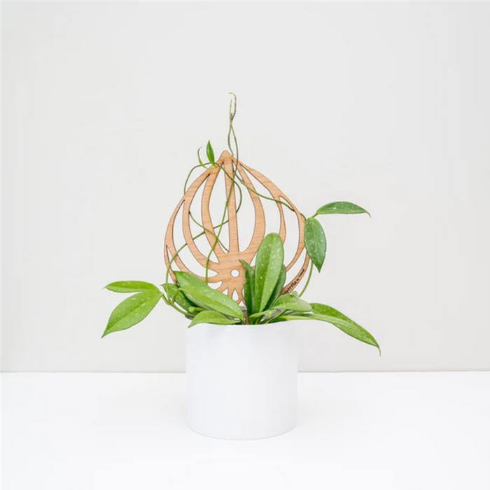 TRELEAF Peptrella Plant Trellis