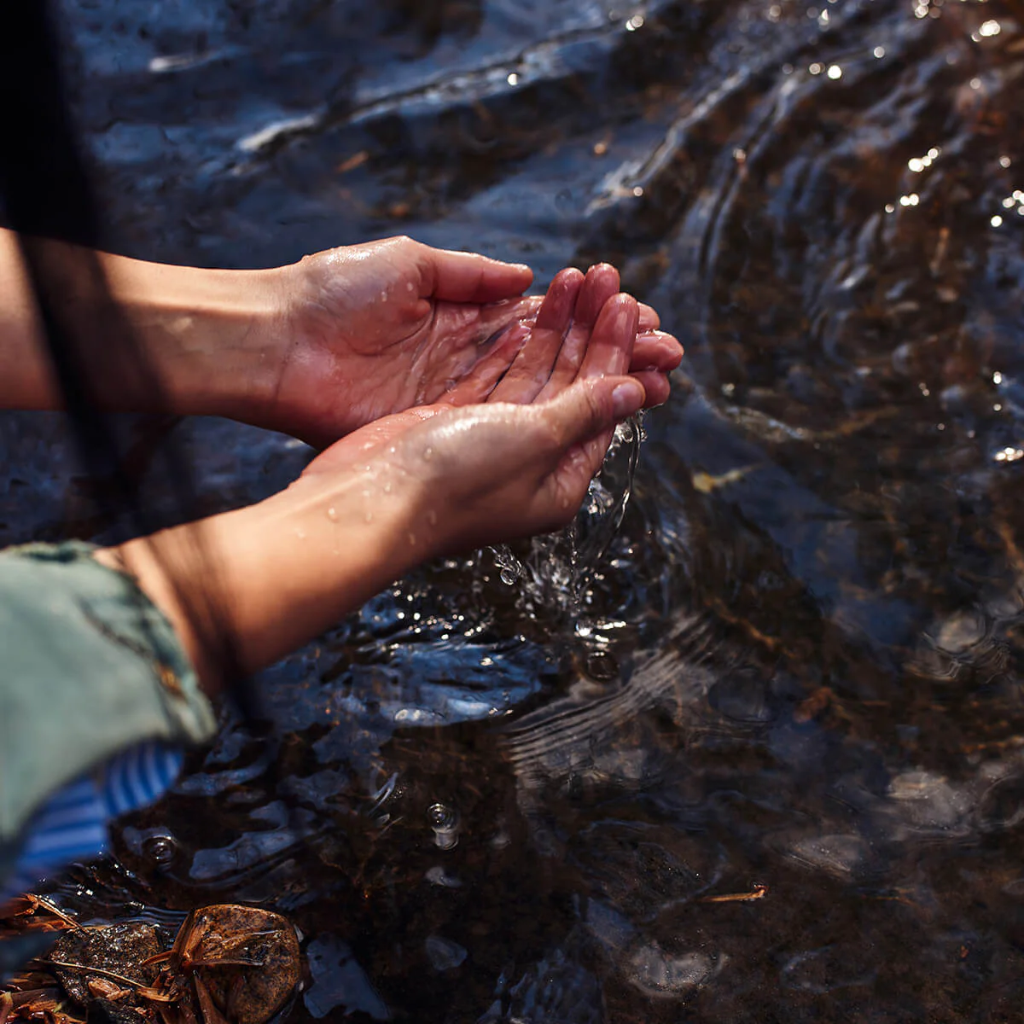 Nature's Offerings for Your Everyday Skincare Ritual: Discover Province Apothecary