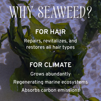 Cleanse Shampoo with Aloe & Seaweed