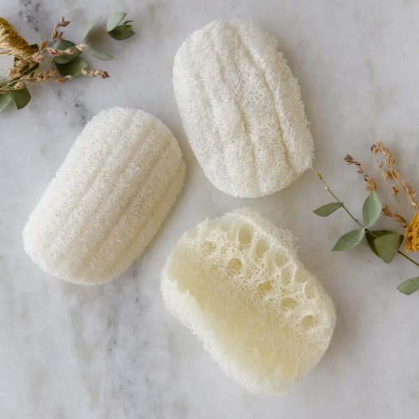 Compostable Eco Dish Sponge 3-Pack